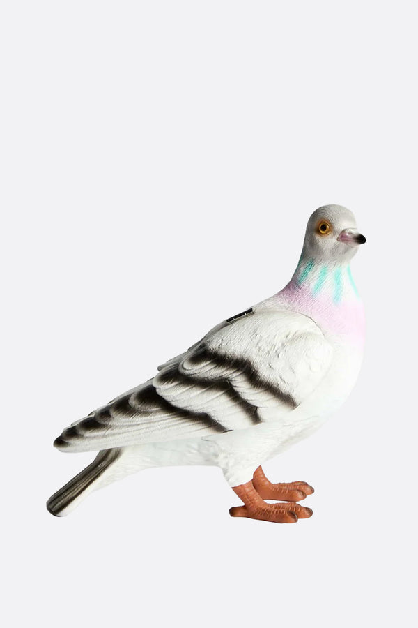 Pigeon clutch in resin